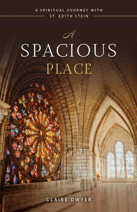 A Spacious Place by Claire Dwyer, paperback cover