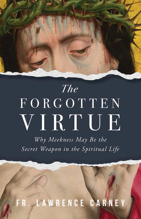 The Forgotten Virtue by Lawrence Carney, paperback cover