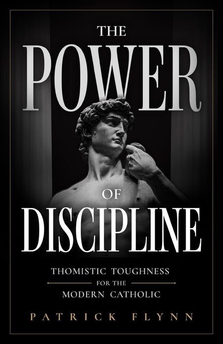 The Power of Discipline by Patrick Flynn, paperback cover