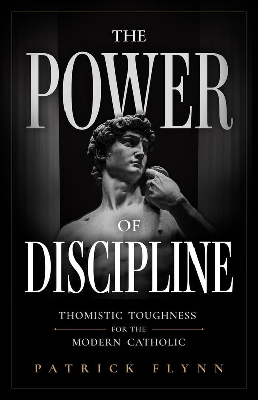 The Power of Discipline by Patrick Flynn, paperback cover